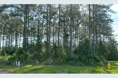 106 Beach Head Court, Kingsland, GA 31548 - Photo 1