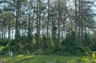 106 Beach Head Ct, Kingsland, GA 31548 - Photo 1