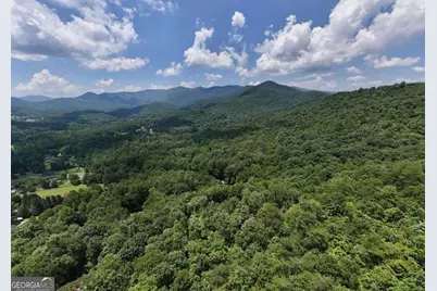 2333 Lovingood Road, Hiawassee, GA 30546 - Photo 38