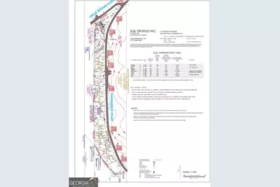 12371 Panhandle Road #LOT 3, Hampton, GA 30228 - Photo 24