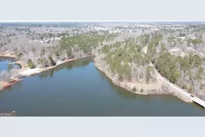 12371 Panhandle Road #LOT 3, Hampton, GA 30228 - Photo 2