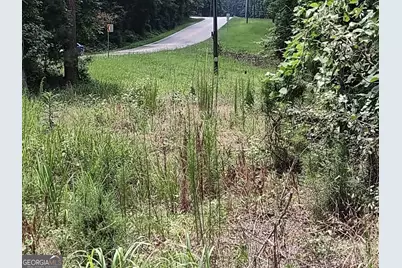 12371 Panhandle Road #LOT 3, Hampton, GA 30228 - Photo 14