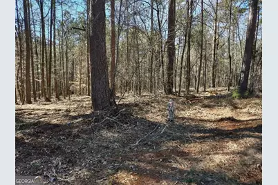 12371 Panhandle Road #LOT 3, Hampton, GA 30228 - Photo 16