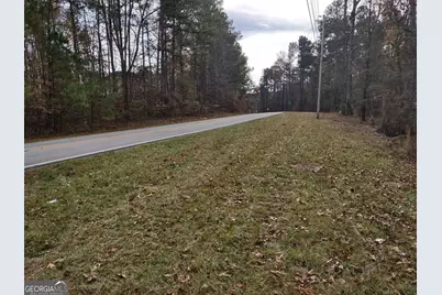 12371 Panhandle Road #LOT 3, Hampton, GA 30228 - Photo 32