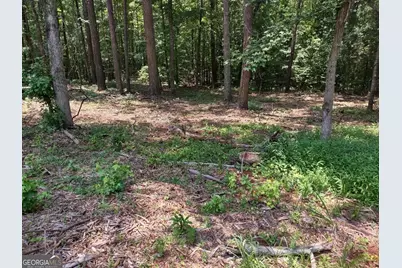12371 Panhandle Road #LOT 3, Hampton, GA 30228 - Photo 8
