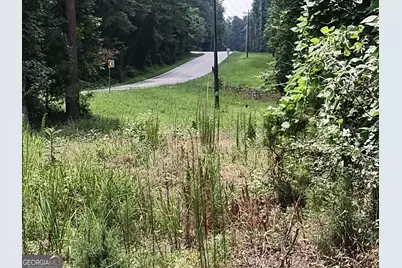 12371 Panhandle Road #LOT 3, Hampton, GA 30228 - Photo 18