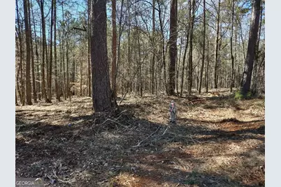 12371 Panhandle Road #LOT 3, Hampton, GA 30228 - Photo 30
