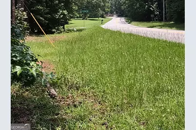 12371 Panhandle Road #LOT 3, Hampton, GA 30228 - Photo 16