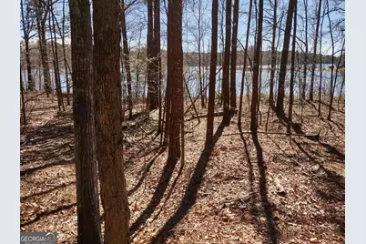 12371 Panhandle Road #LOT 3, Hampton, GA 30228 - Photo 24