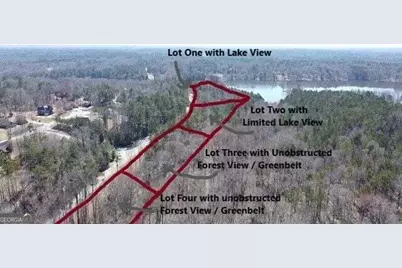 12371 Panhandle Road #LOT 3, Hampton, GA 30228 - Photo 6