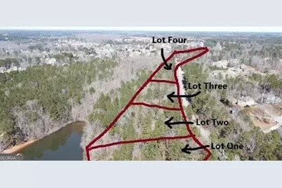 12371 Panhandle Road #LOT 3, Hampton, GA 30228 - Photo 4