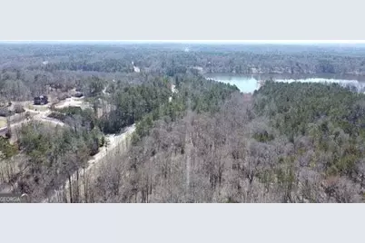 12317 Panhandle Road #LOT 4, Hampton, GA 30228 - Photo 4