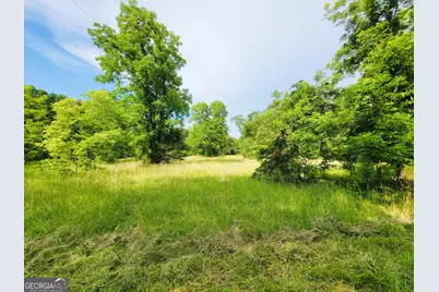 7688 Hamilton Road, Pine Mountain, GA 31822 - Photo 4