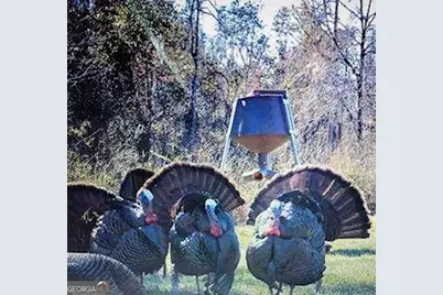 35 Tyler Road, Naylor, GA 31641 - Photo 70