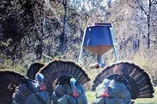 35 Tyler Rd, Naylor, GA 31641 - Photo 70