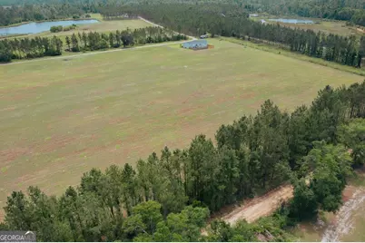 35 Tyler Road, Naylor, GA 31641 - Photo 10