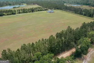 35 Tyler Rd, Naylor, GA 31641 - Photo 10