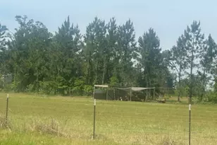 35 Tyler Rd, Naylor, GA 31641 - Photo 72