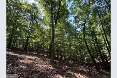 2115 Palisade Drive, Ellijay, GA 30540 - Photo 2