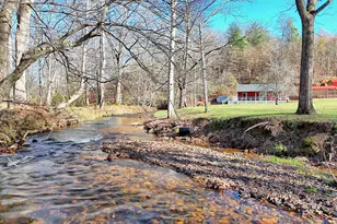 539 Nicholson Trail, Hiawassee, GA 30546 - Photo 54