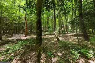 550 Watson Rd, Epworth, GA 30541 - Photo 58