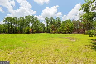 7552 Webb Rd, Hahira, GA 31632 - Photo 50