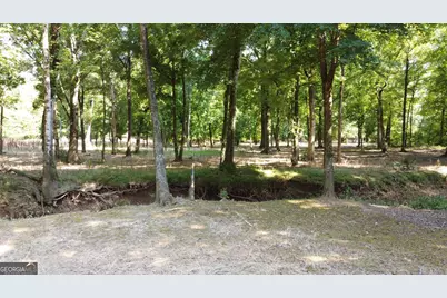 9390 Hopewell Road, Lizella, GA 31052 - Photo 10