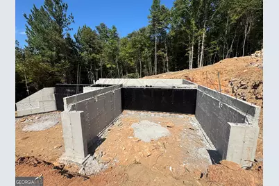 0 Wisteria #TRACT 1, Mansfield, GA 30055 - Photo 4