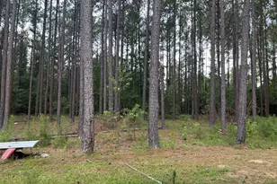 1550 Adabelle Rd, Register, GA 30452 - Photo 26