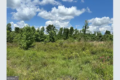Lot 1 Rock Springs Road, Dublin, GA 31021 - Photo 1