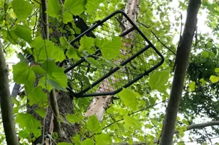 1224 Texas Valley Rd NW, Rome, GA 30165 - Photo 68