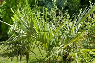 1224 Texas Valley Rd NW, Rome, GA 30165 - Photo 60