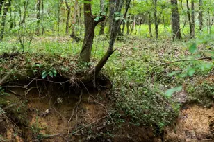 1224 Texas Valley Rd NW, Rome, GA 30165 - Photo 72