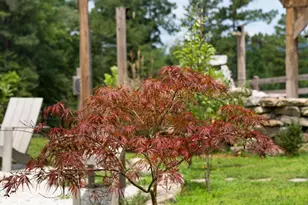 1224 Texas Valley Rd NW, Rome, GA 30165 - Photo 62