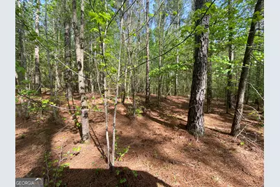 2A Curry Falls Trail, Athens, GA 30607 - Photo 4