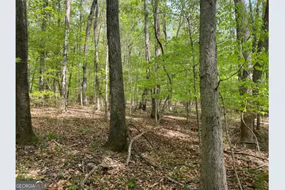 2B Curry Falls Trail, Athens, GA 30607 - Photo 4