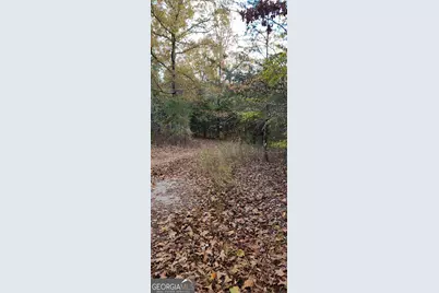 745 Brewsterfield Road, Cedartown, GA 30125 - Photo 8