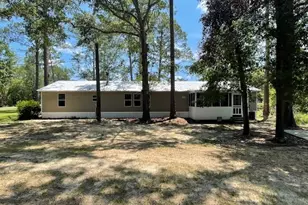 250 Bobby Sapp Rd, Collins, GA 30421 - Photo 6