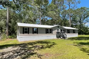 250 Bobby Sapp Rd, Collins, GA 30421 - Photo 4