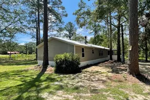 250 Bobby Sapp Rd, Collins, GA 30421 - Photo 8
