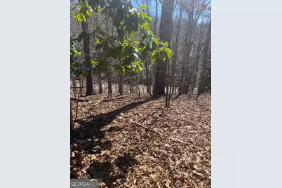 806 Dixon Drive, Gainesville, GA 30501 - Photo 1