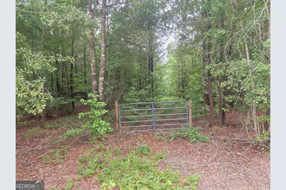 0 State Route 240 Road, Ideal, GA 31041 - Photo 4