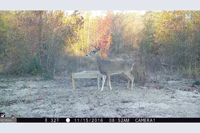 0 State Route 240 Road, Ideal, GA 31041 - Photo 30