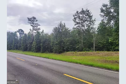 0 State Route 240 Road, Ideal, GA 31041 - Photo 22