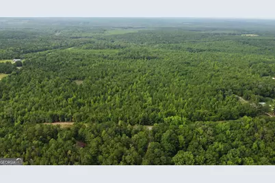 0 State Route 240 Road, Ideal, GA 31041 - Photo 1