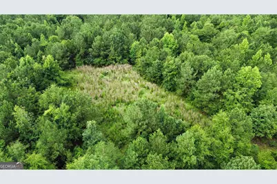 0 State Route 240 Road, Ideal, GA 31041 - Photo 2
