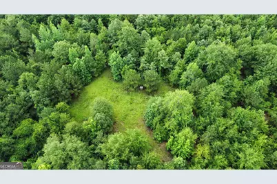 0 State Route 240 Road, Ideal, GA 31041 - Photo 12