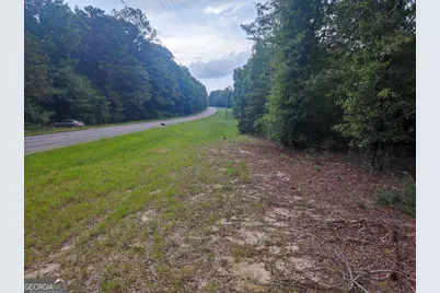 0 State Route 240 Road, Ideal, GA 31041 - Photo 16