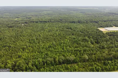 0 State Route 240 Road, Ideal, GA 31041 - Photo 14