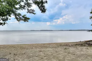 6075 Stb3 Ridge Rd, Applin, GA 30802 - Photo 64